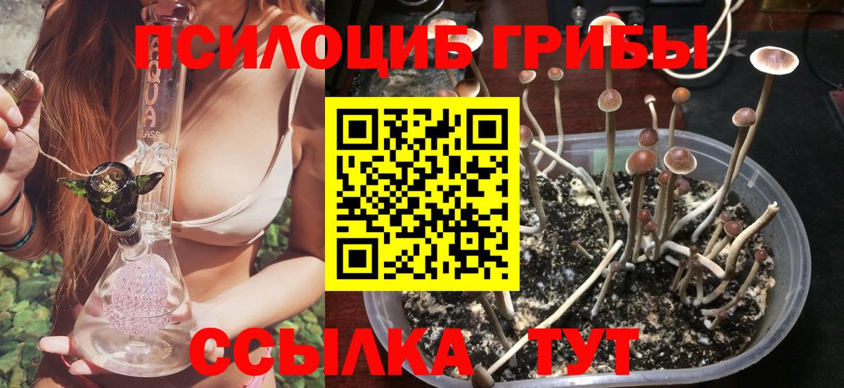 Псилоцибиновые грибы прущие грибы Вичуга
