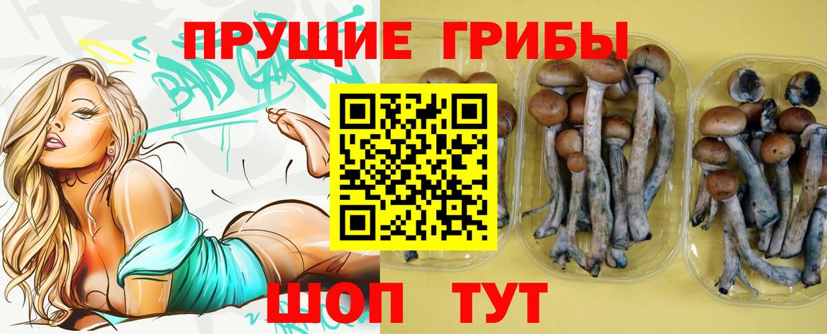 Псилоцибиновые грибы Magic Shrooms  купить наркоту  Вичуга  Вход с VPN 