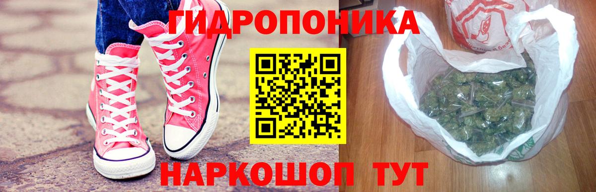 Вичуга  Бошки Шишки индика  Марихуана план  Бошки марихуана гибрид  Вход с VPN  Каннабис Bruce Banner 